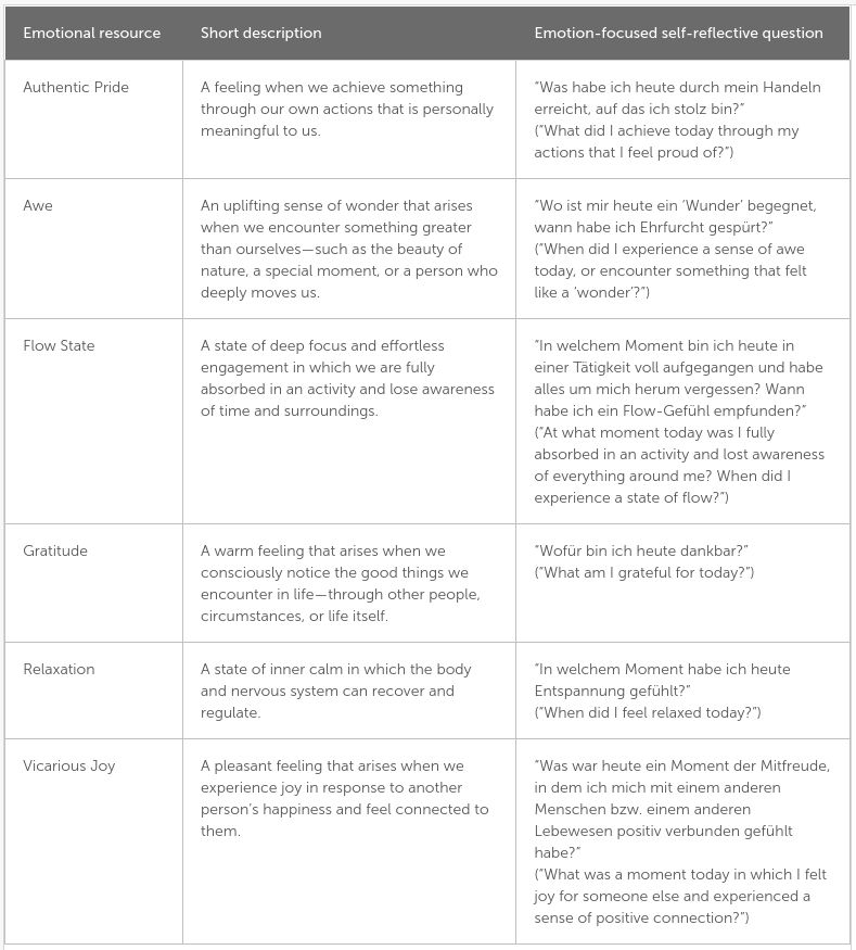Table 1 from doi:10.3389/fpsyg.2026.1965838