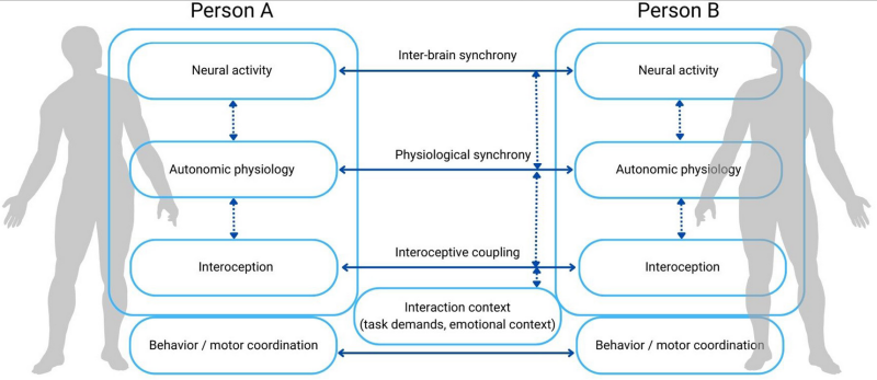 Figure 1 from Giada Lettiei (2006) - see Ref #4
